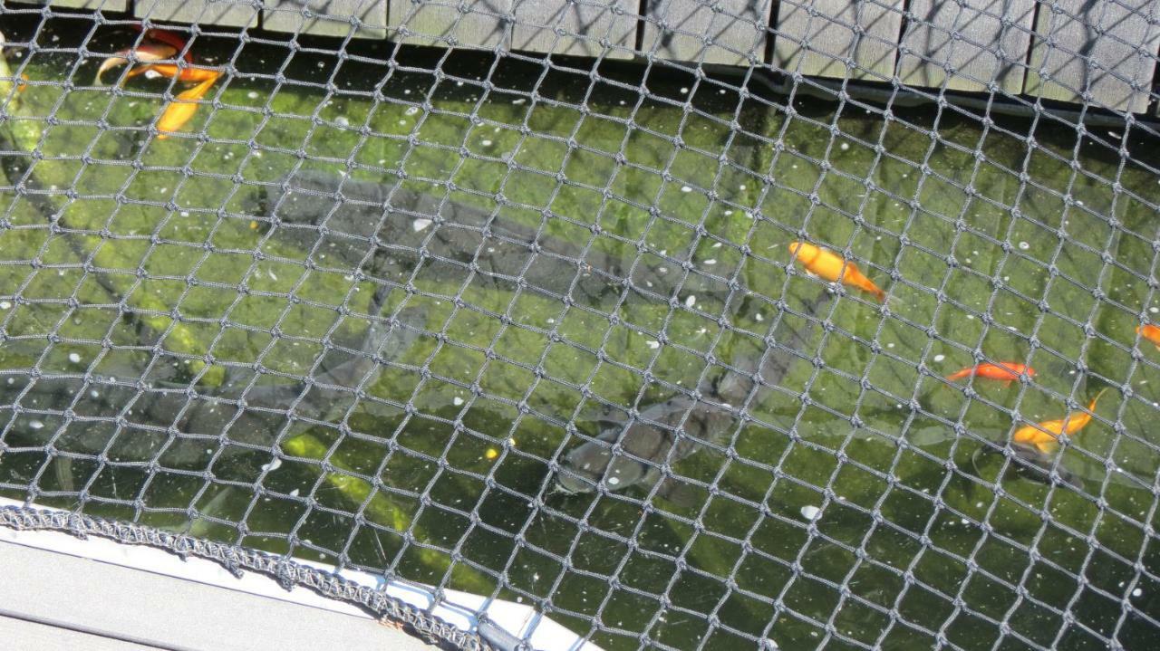 Les Terrasses Sur Seine Lägenhet Vernon  Exteriör bild
